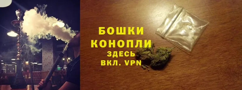 Канабис OG Kush  Барыш 